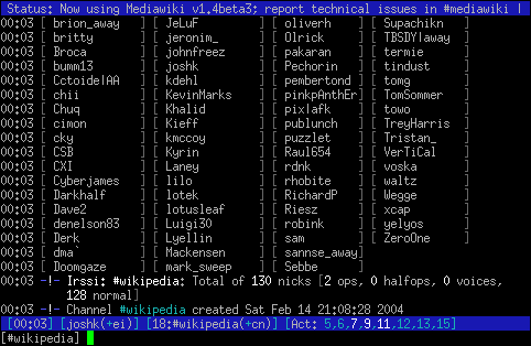 example irssi