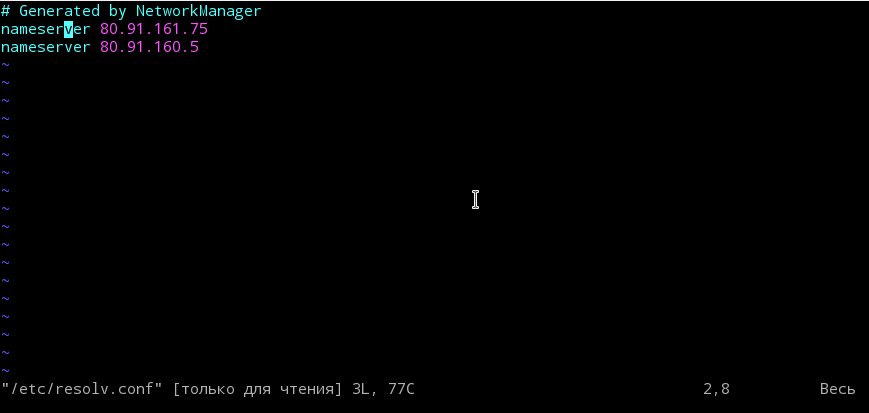example vim